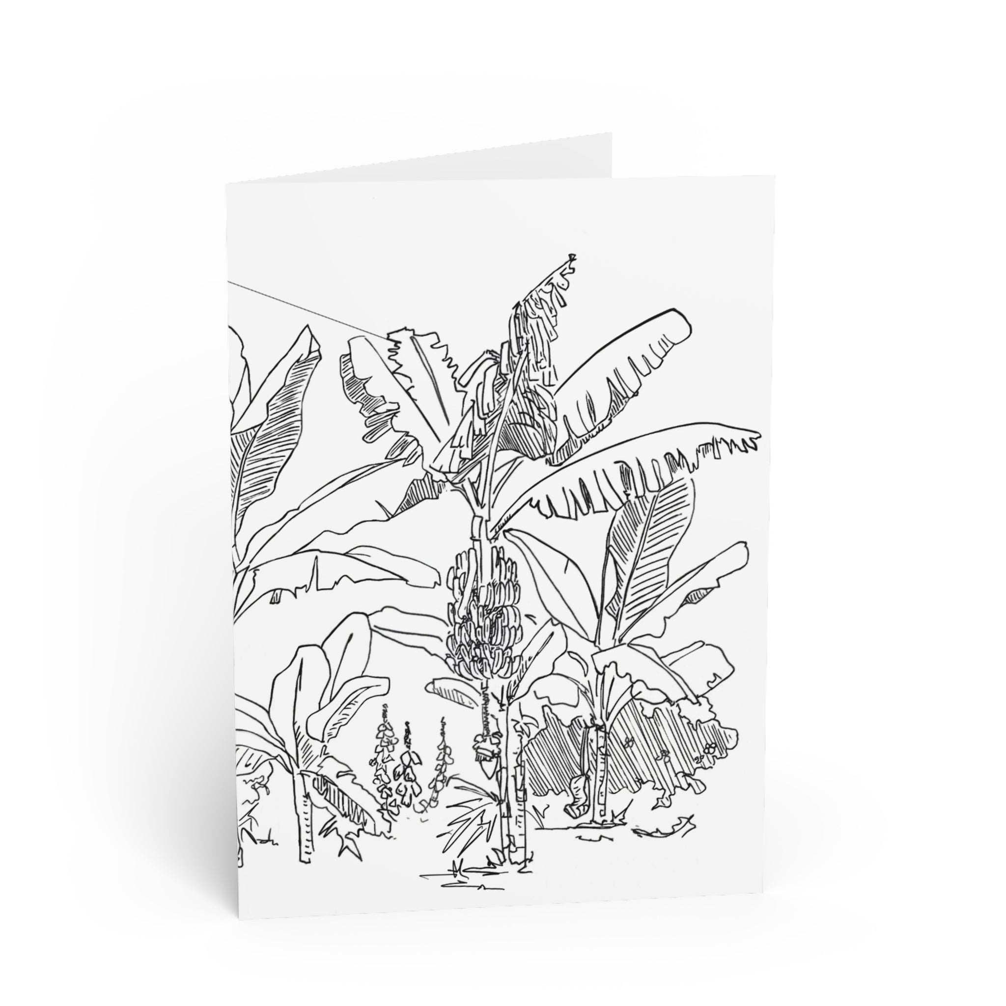 South Florida Tropical Greeting Card — Botanical Note Card