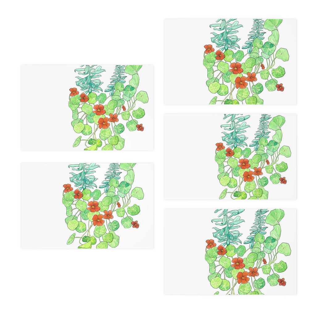 Multi-Design Greeting Cards (5-Pack)