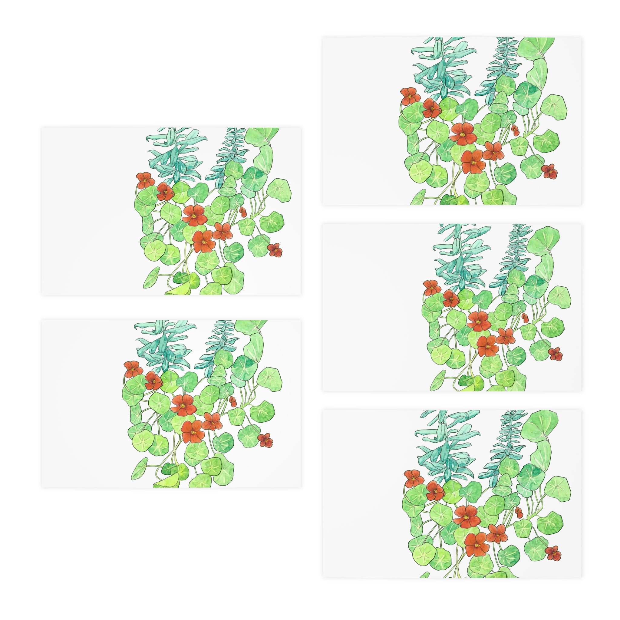 Multi-Design Greeting Cards (5-Pack)