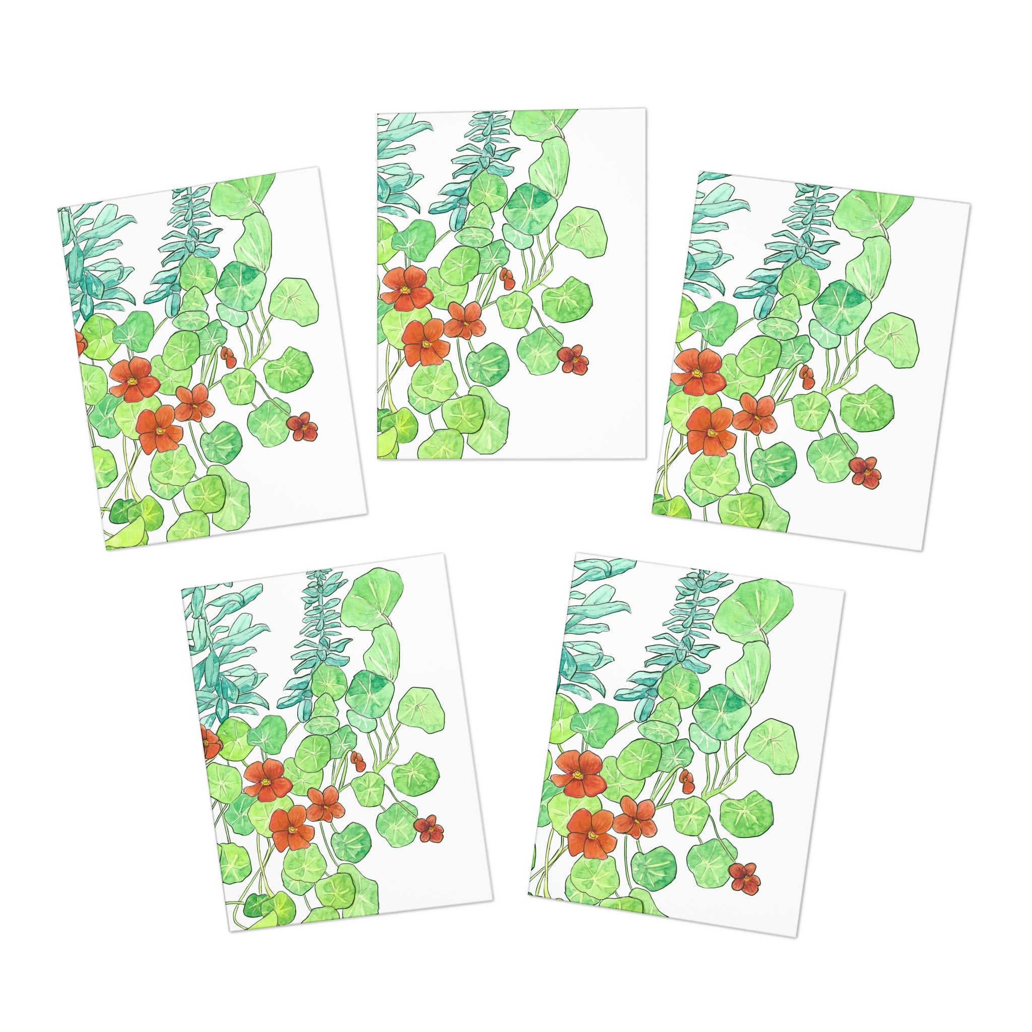 Multi-Design Greeting Cards (5-Pack)