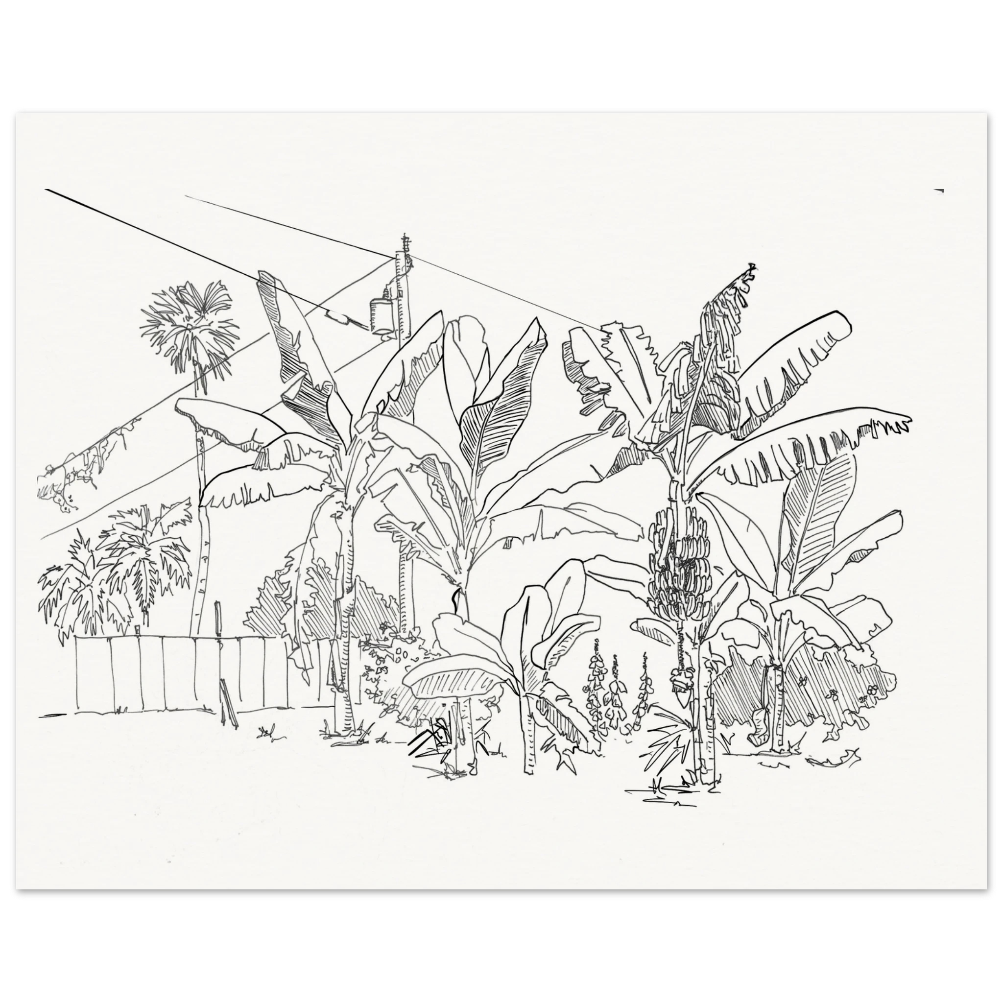 b724c5b7-446b-475c-9163-6c133fe5416f