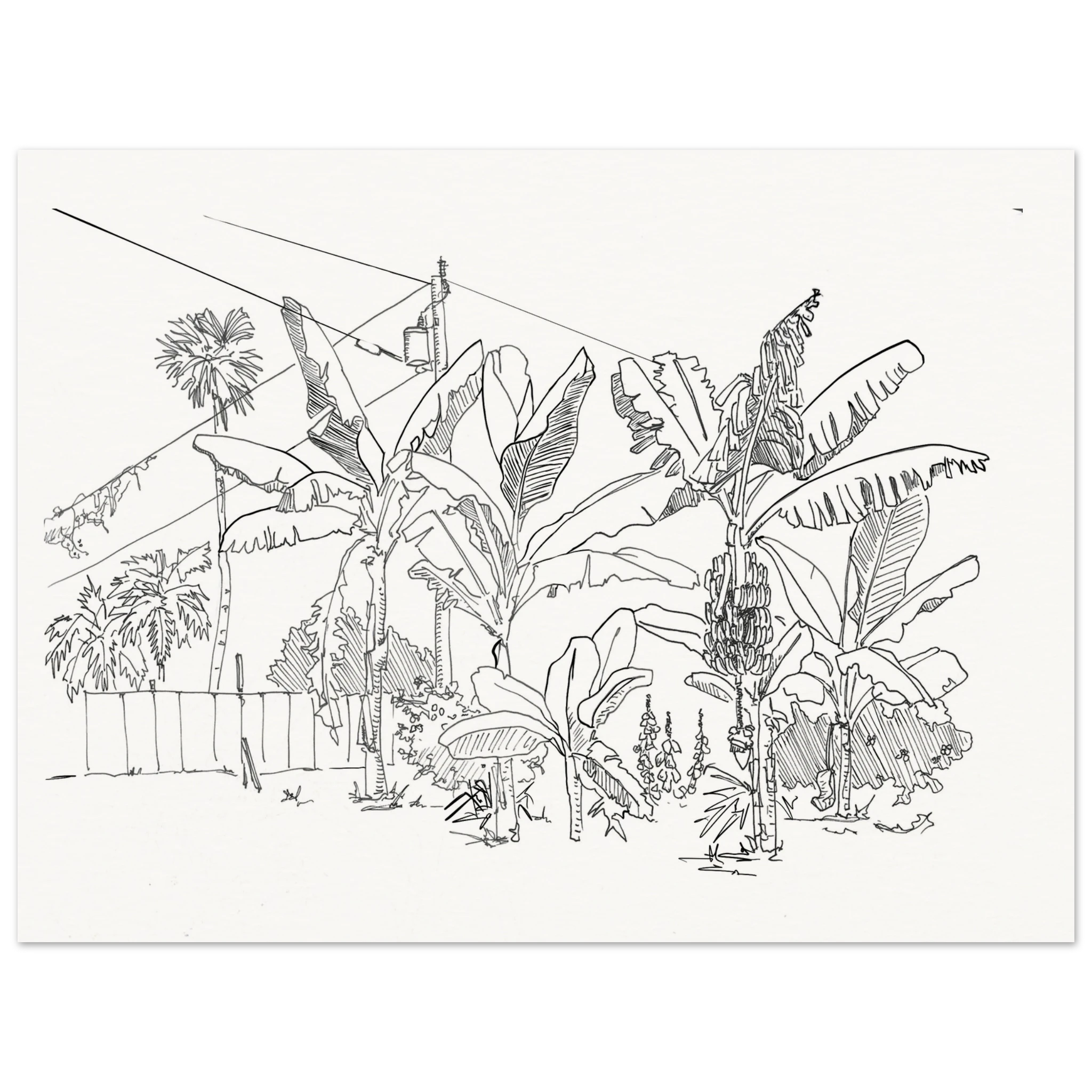 ca6b32f1-cebd-4ff5-a455-d51928d6230b