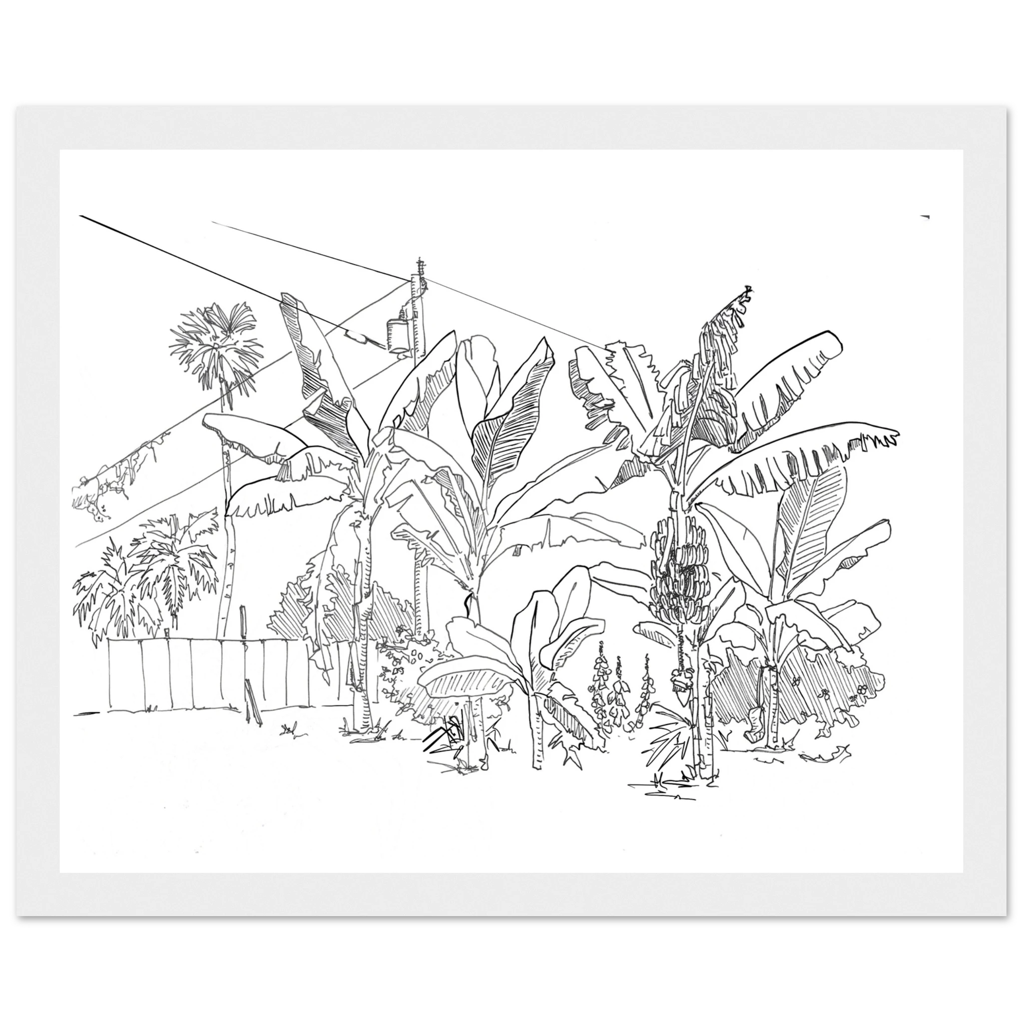 cca62c5e-7cb5-4fb0-8825-4c7bf2967902